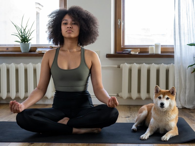 Ontspannen met je trouwe viervoeter: Yoga met de hond